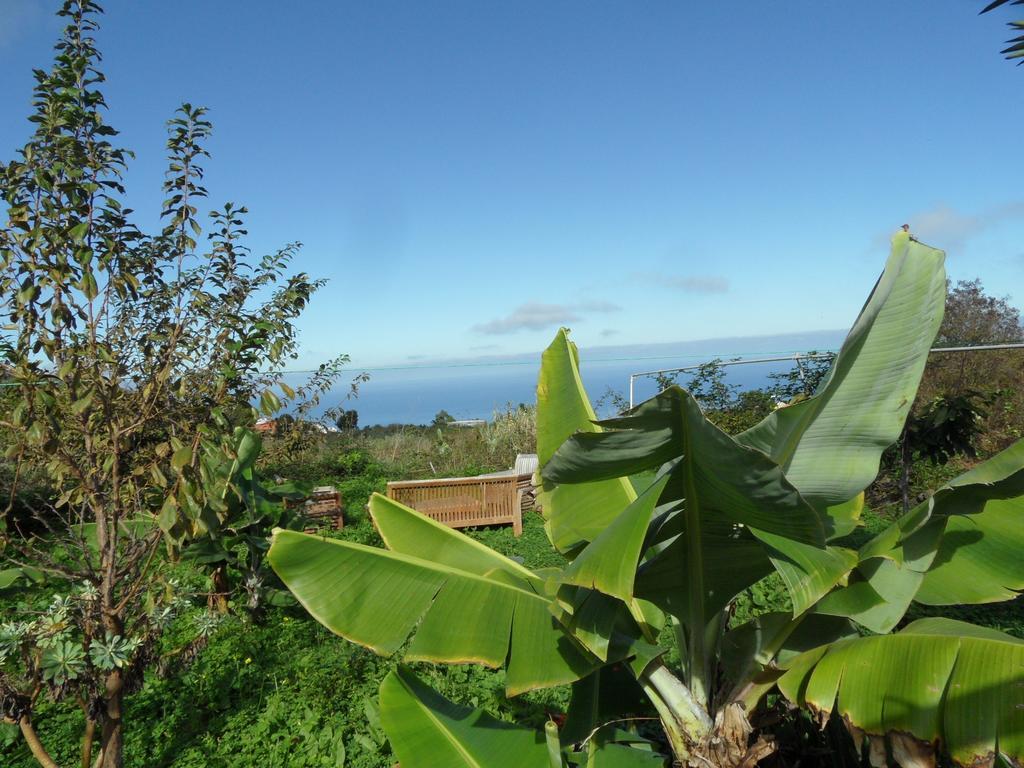 Finca Cueva Del Viento Icod de los Vinos Szoba fotó